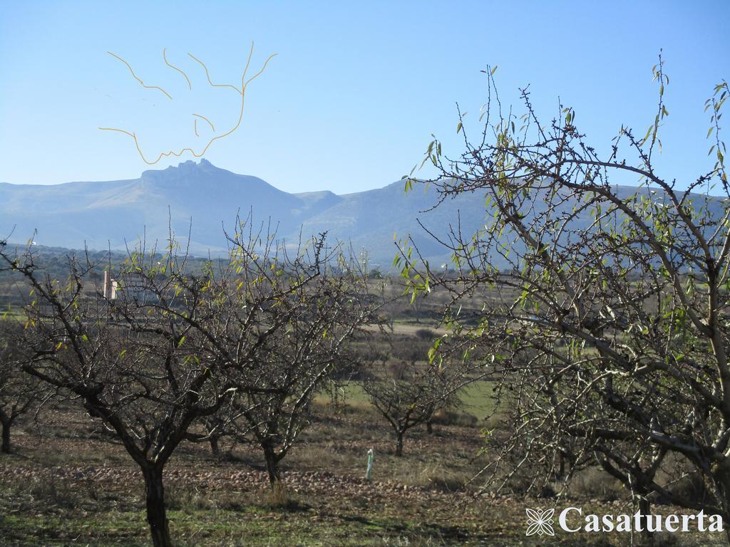 Casa Tuerta Vila Alcalá de Moncayo Exterior foto